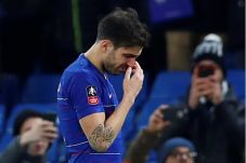 Reaksi Hazard dan David...