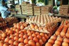 Pasokan Minim, Harga...