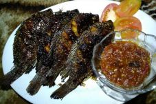 Mujaer Bakar Teflon...
