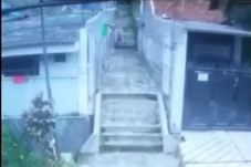 Lima Fakta Kasus Pembunuhan...