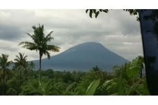 Dampak Hujan Abu Vulkanik...