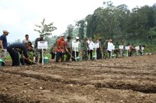 Kementan Tanam 1 Juta...