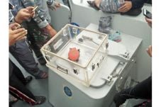 TNI AL Masih Menunggu...