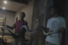 Ular Piton 3 Meter Masuk...