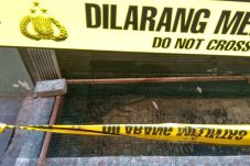 Buaya Muara dan Python...
