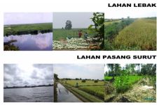 Potensi Lahan Rawa Pasang...