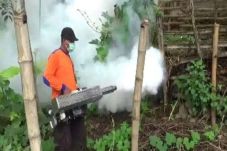 Caleg Perindo Nivita...