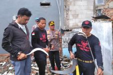 Tawuran di Tanah Sereal,...