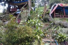Hujan Disertai Angin...