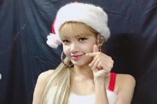 Lalisa Manoban, Anggota...