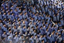 Pengangkatan CPNS, 519...