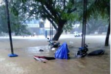 Banjir Setinggi 1,5...