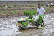 Mekanisasi Pertanian...