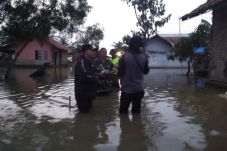 150 Hektare Sawah dan...