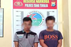 2 Pelaku Penyalahgunaan...