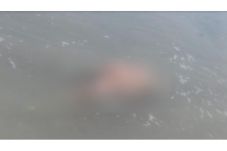 Mayat Wanita Tanpa Busana...