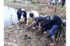 Mulai Gundul, Muara...