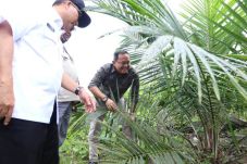 Bupati Dodi Bakal Rintis...
