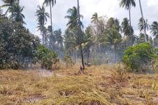 Cuaca Terik, Lahan Terbakar...