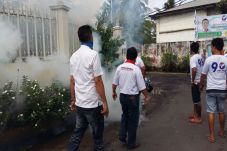 Korban Demam Berdarah...