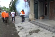 Cegah Wabah Demam Berdarah,...