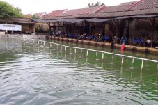 Bangun Sinergisitas,...