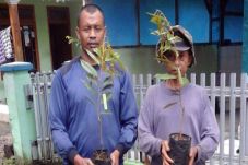 Petani di Ciamis Gembira...