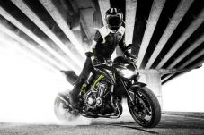Lebih Dekat dengan Kawasaki...