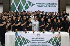 Kondisi Pertanian Melorot,...