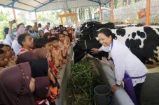 Menteri Rini Dorong...