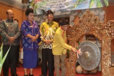 Festival Kelapa Internasional...