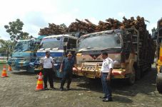 Langgar Aturan, 4 Truk...