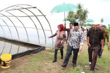22 Hektare Disiapkan...