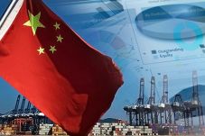 Investor Global Diramal...