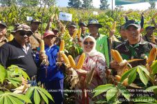 Panen Perdana, Petani...