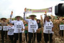 Kabupaten OKU Selatan...