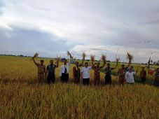 Program Serasi Sukses...