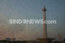 Pagi Berawan, Siang...