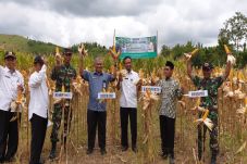 Banyuwangi Sukses Panen...
