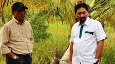 Kementan Dorong Luas...