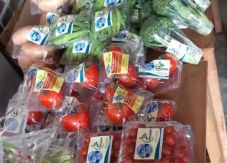 Petani Milenial Bangga...