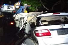 Fortuner Tabrak Pohon...