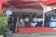 Serius Optimasi Lahan...