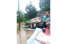 Diguyur Hujan Deras...