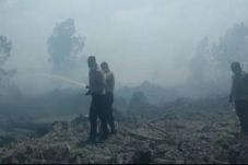 Kebakaran Hutan dan...