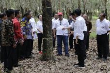 Jokowi: Harga Karet...