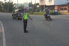 Tabrakan Adu Kambing...