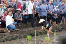 Jangan Politisasi Petani,...