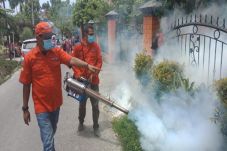Peduli DBD, Rescue Perindo...