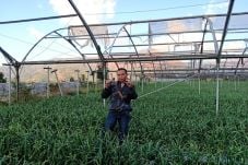 Petani di Cirebon Minta...